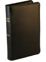 Anglais, Bible Darby, cuir, noir, tranche or