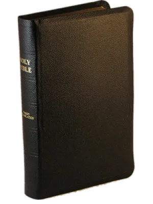 Anglais, Bible Darby, cuir, noir, tranche or