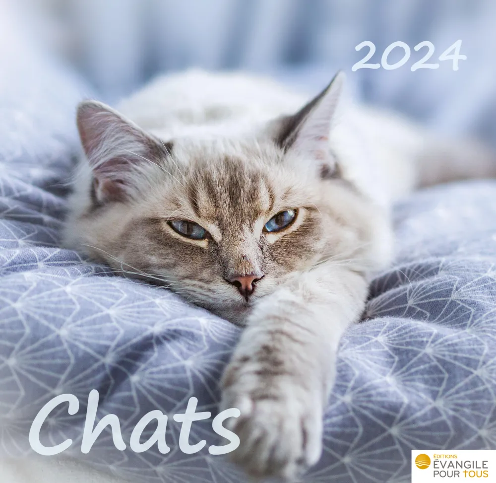 Chats, Merveilles de la création - Calendrier de table