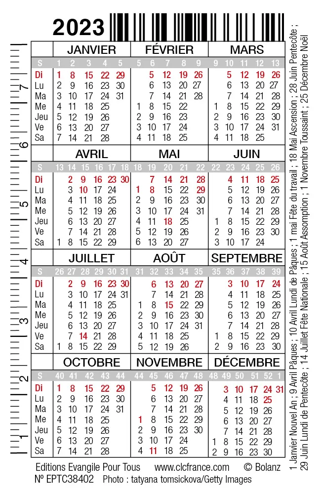 Tasse sur livre - Calendrier format carte de crédit