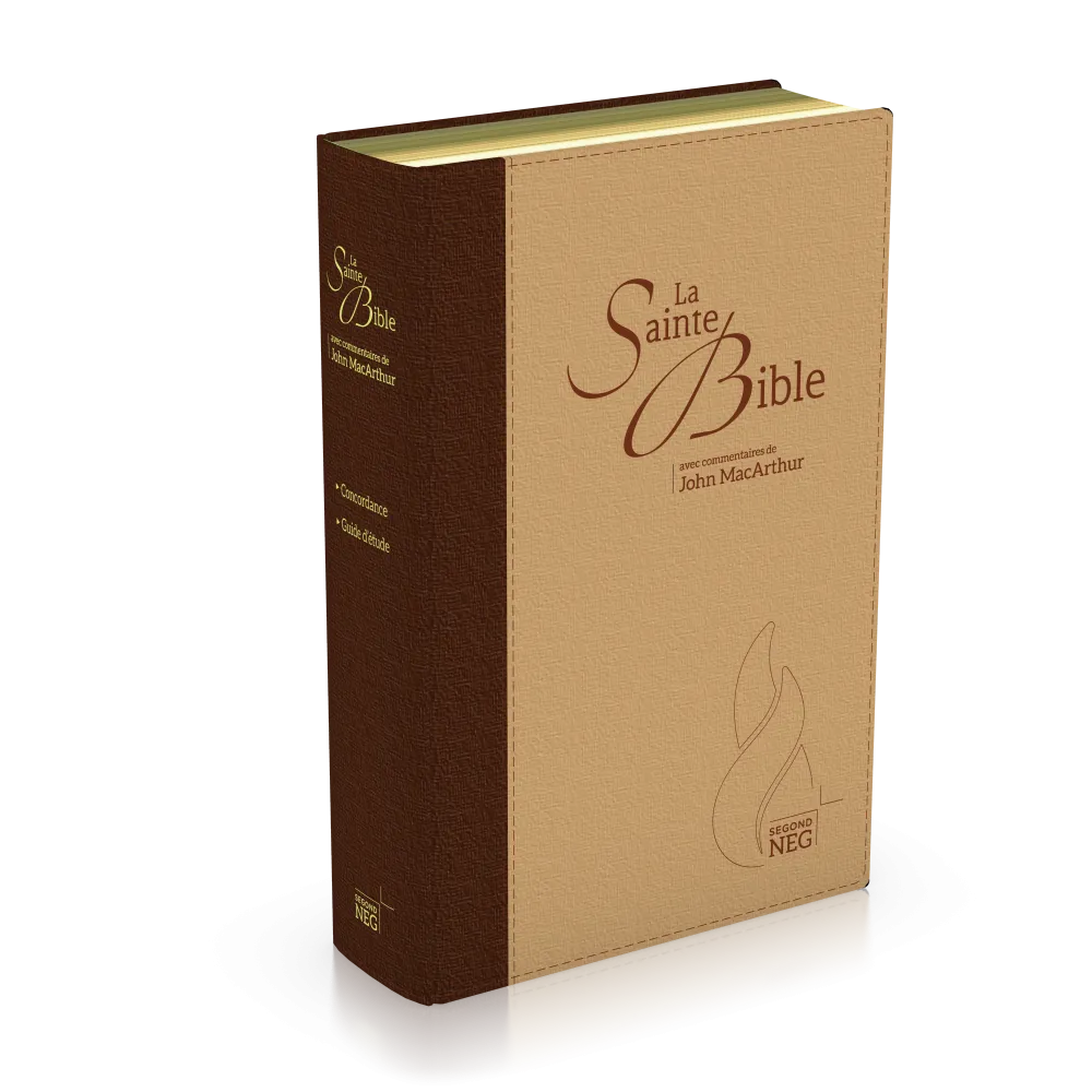 Bible d'étude Segond NEG MacArthur - couverture souple brun/beige, tranche or, onglets