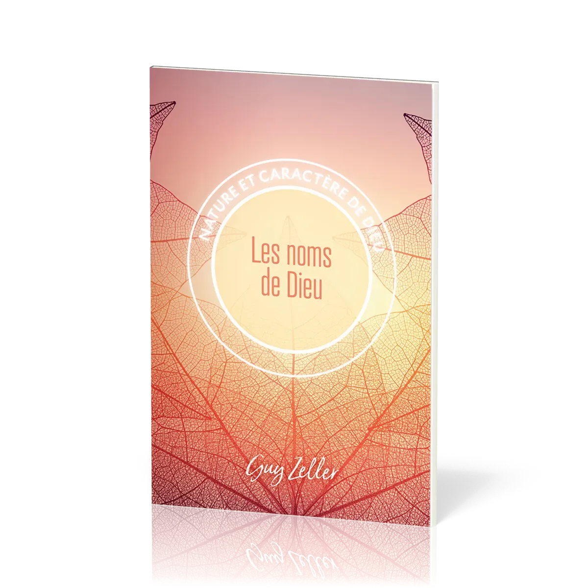 Noms de Dieu (Les) - Collection Nature et caractère de Dieu