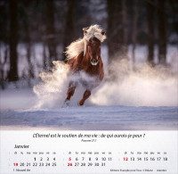 Chevaux, Merveilles de la création - Calendrier de table