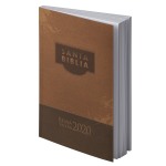 Espagnol, Bible RVR2020, brochée, marron - rústica marrón misionera 070