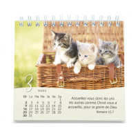 Chats (Les) - Petit calendrier avec 12 belles photos de chats