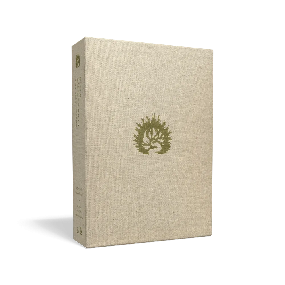 Bible d’étude de la foi réformée - Bleu marine, Similicuir, tranches argentées, un signet Bible d’étude de la foi réformée - Bleu marine, Similicuir, tranches argentées, un signet