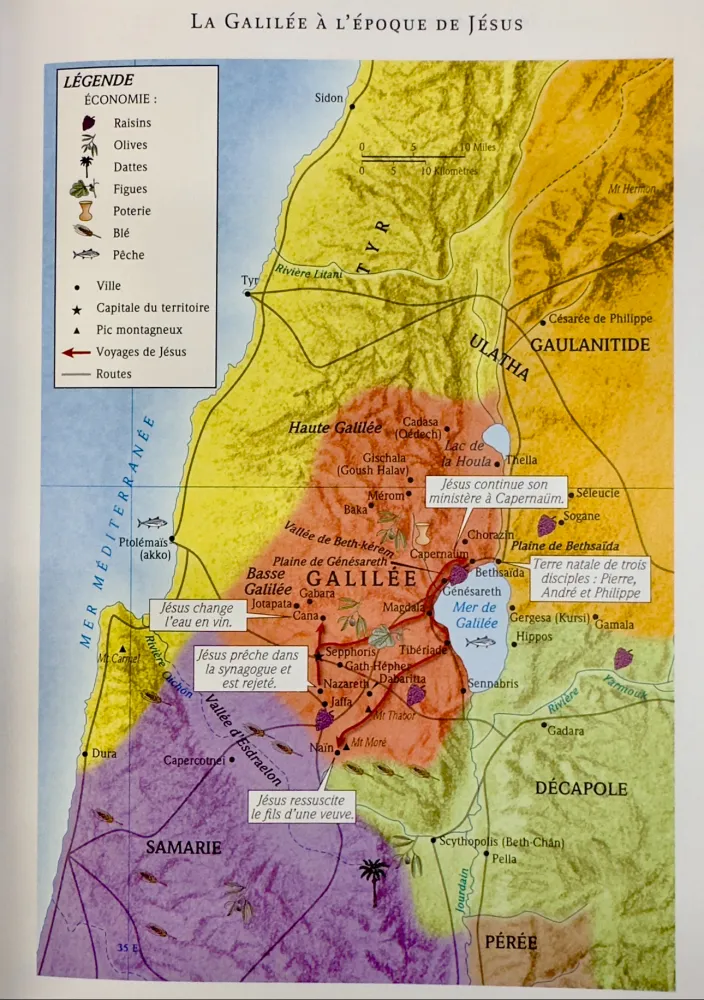 Bible d’étude de la foi réformée - Bleu marine, Similicuir, tranches argentées, un signet Bible d’étude de la foi réformée - Bleu marine, Similicuir, tranches argentées, un signet