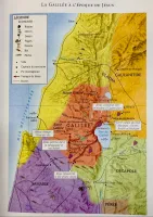 Bible d’étude de la foi réformée - Bleu marine, Similicuir, tranches argentées, un signet Bible d’étude de la foi réformée - Bleu marine, Similicuir, tranches argentées, un signet