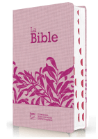 Bible Segond 21 compacte (Premium Style) - couverture souple, toile rose avec paillettes et onglets