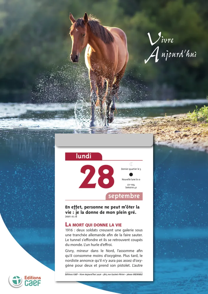 Vivre aujourd'hui - calendrier éphéméride, à suspendre et effeuiller, grande plaque