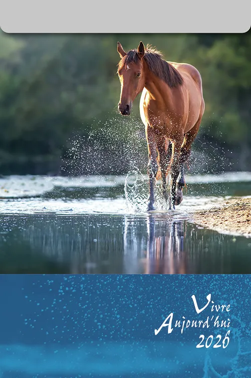 Vivre aujourd'hui - calendrier éphéméride, à suspendre et effeuiller, grande plaque