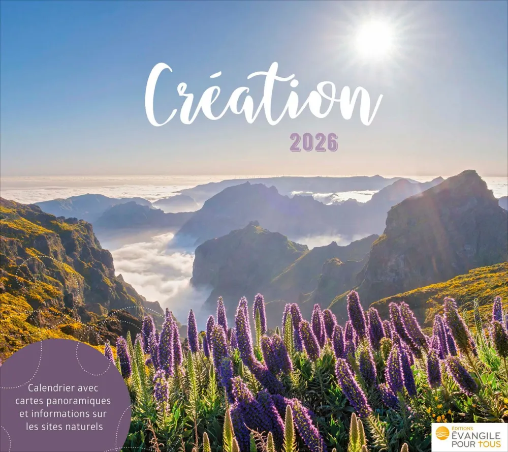 Création - Calendrier de table