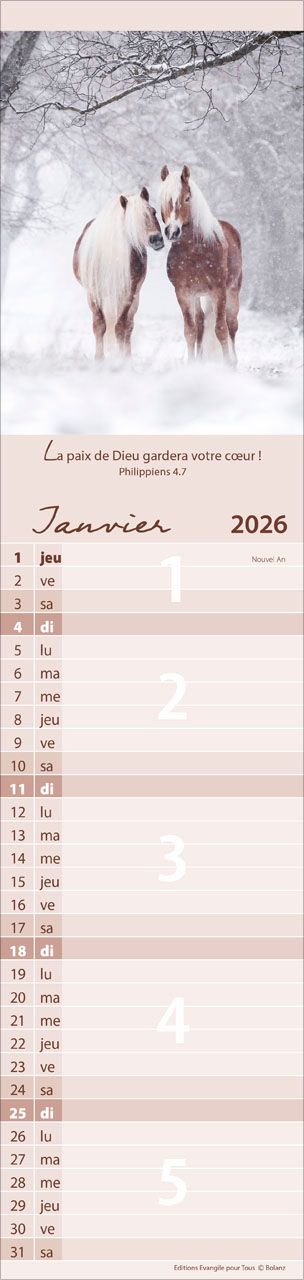 Pour vous (Animaux) - Calendrier cartes postales, vertical