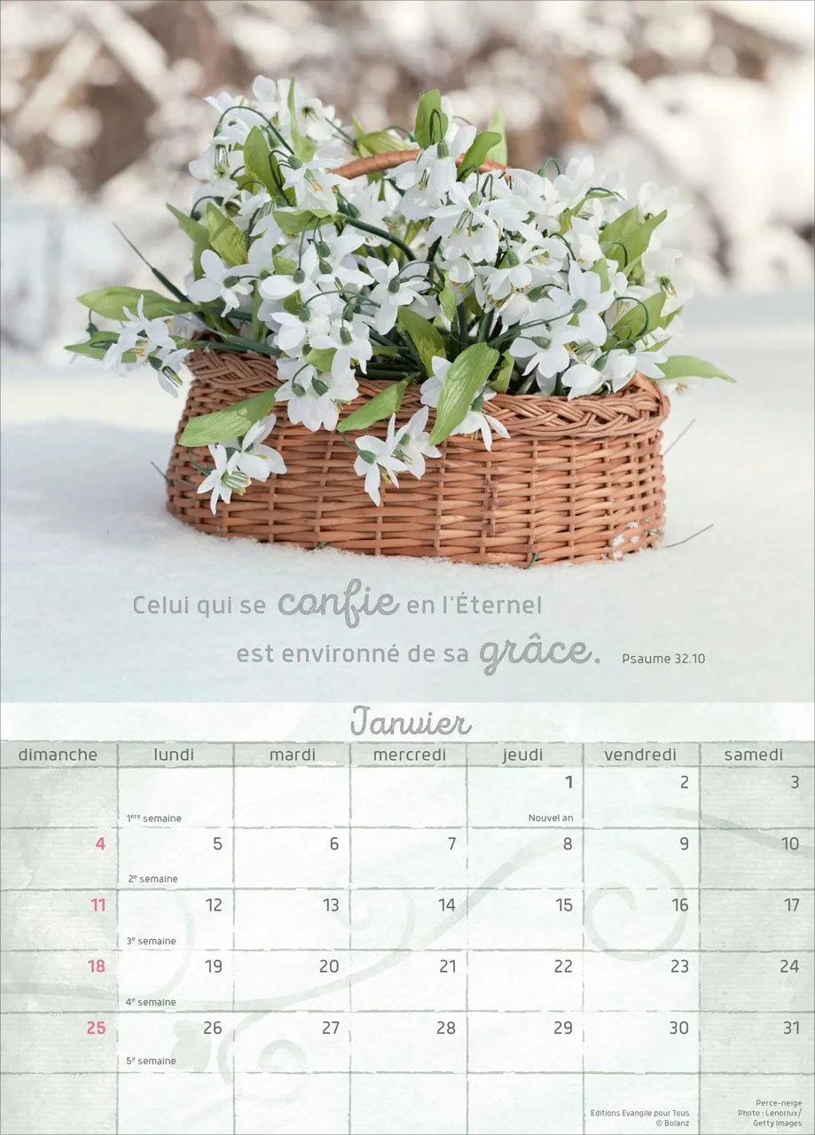 Moments de joie - Calendrier mural