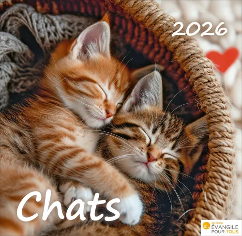 Chats, Merveilles de la création - Calendrier de table