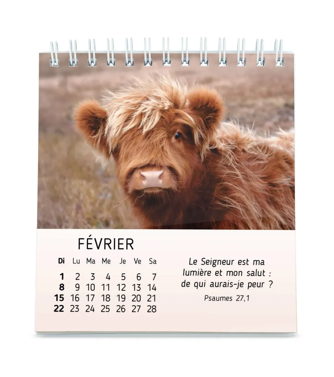 Mes petits amis avec versets bibliques - calendrier à poser