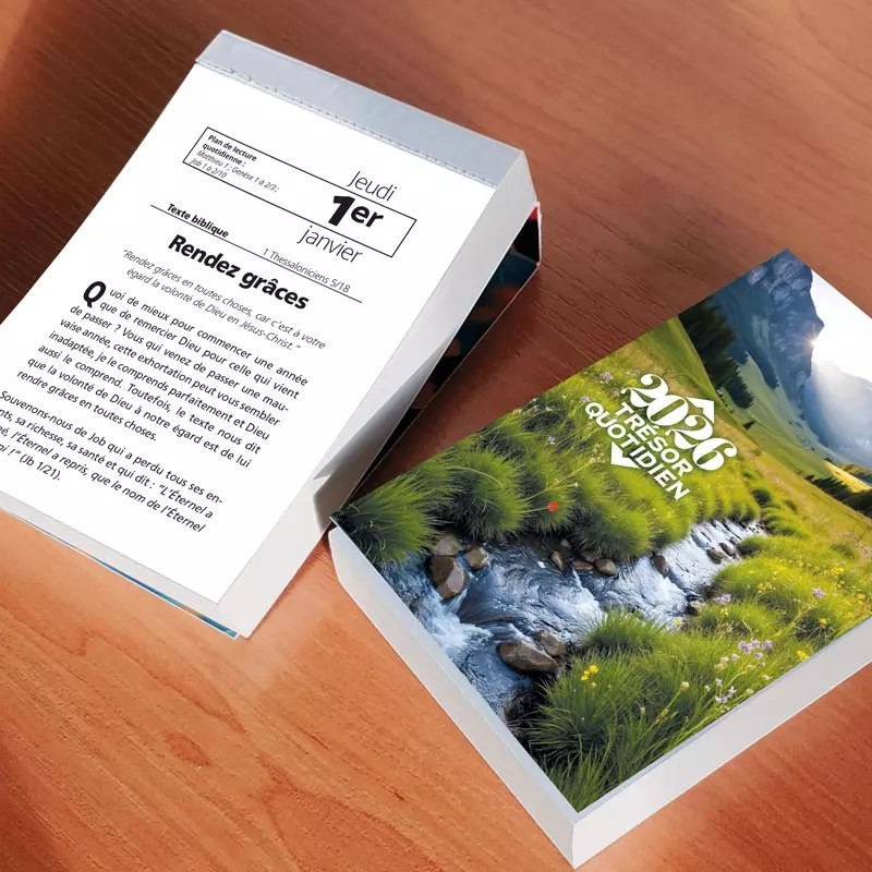 Trésor quotidien - Calendrier éphéméride, mural à effeuiller