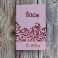 Bible Segond 21 compacte (Premium Style) - couverture souple, toile rose avec paillettes et onglets