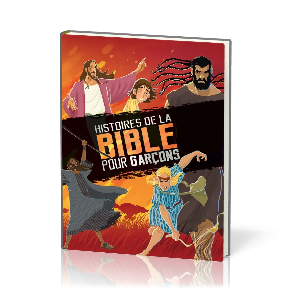 Histoires de la Bible pour garçons