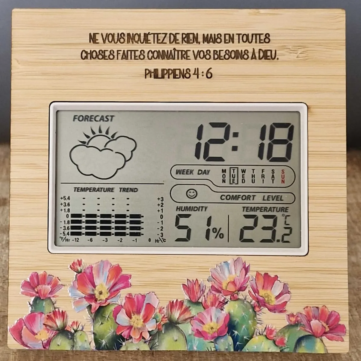 Station Météo Philippiens 4:6