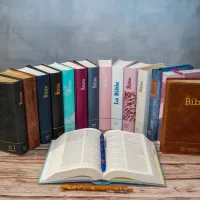 Bible Segond 21 compacte - Couverture rigide skivertex rose guimauve