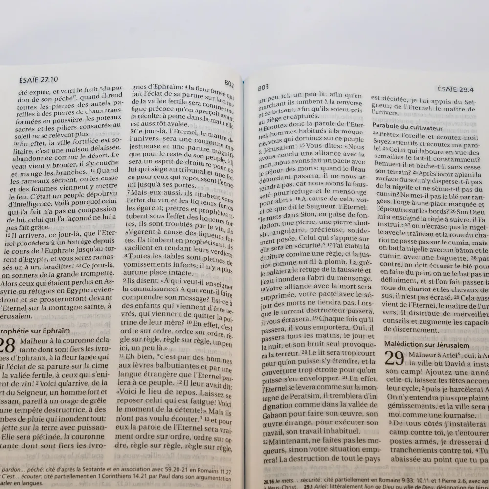 Bible Segond 21 compacte (Premium Style) - couverture souple toilée motif jeans, avec fermeture...