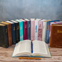 Bible Segond 21 compacte (Premium Style) - couverture semi-rigide duo cuir praliné-chocolat, avec...