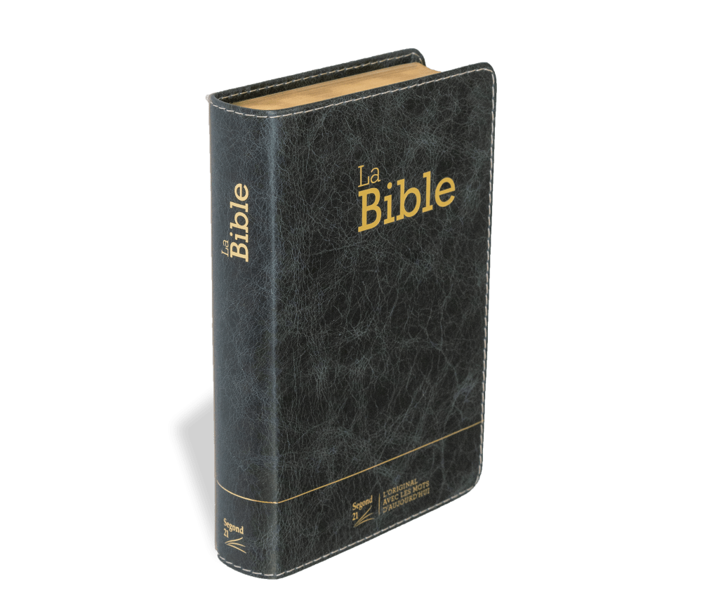 Bible Segond 21 compacte (Premium Style) - couverture souple, cuir anthracite, avec tranches dorées