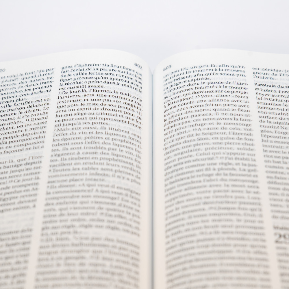 Bible Segond 21 compacte (Premium Style) - couverture rigide, toilée matelassée, motifs marguerites