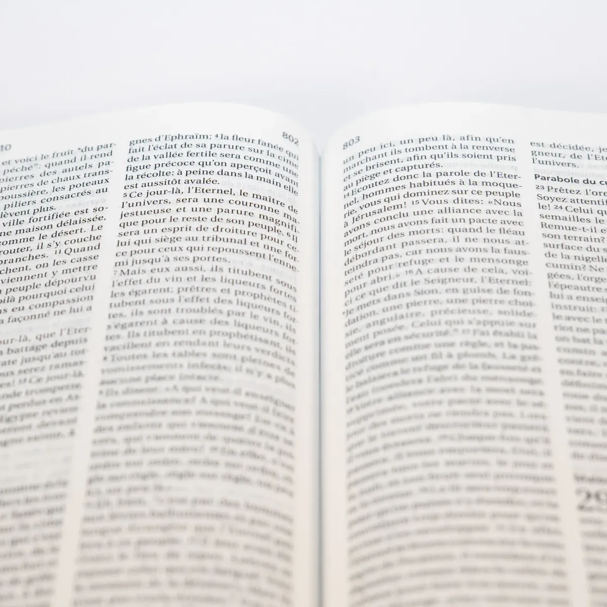 Bible Segond 21 compacte (Premium Style) - couverture rigide, toilée matelassée, motifs marguerites