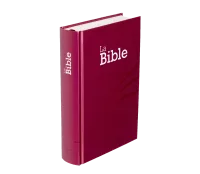 Bible Segond 21 compacte - couverture rigide motif prune