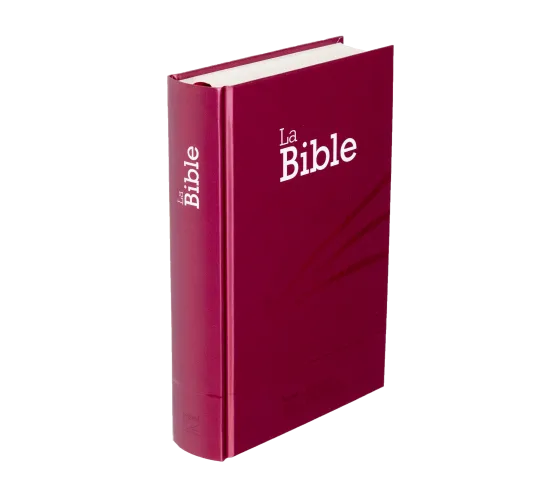 Bible Segond 21 compacte - couverture rigide motif prune