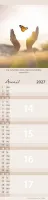 Pour tous (Paysages) - Calendrier cartes postales, vertical