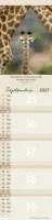 Pour vous (Animaux) - Calendrier cartes postales, vertical