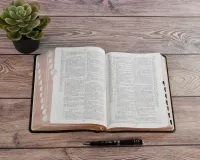 Bible d'étude Segond NEG Scofield, noire - couverture souple, fibrocuir, tranche or, avec onglets