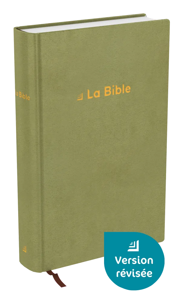 Bible Darby révisée format standard, rigide velours vert olive