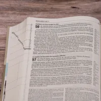 Bible d'étude Vie nouvelle, Segond 21 - couverture rigide illustrée