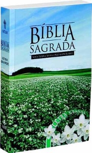 PORTUGAIS, BIBLE NTLH60LG-FLOR LINGUAGEM DE HOJE - BROCHE, GR. CARACT.