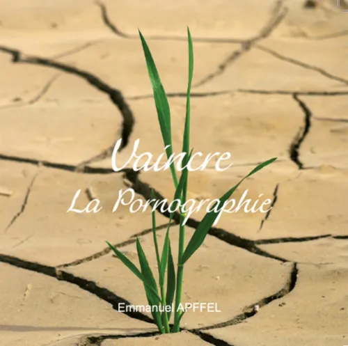 Vaincre la pornographie