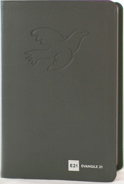 Bible à la Colombe Segond 1978, grise, interfoliée - couverture cuir, évangile 21, tranche argent, avec étui