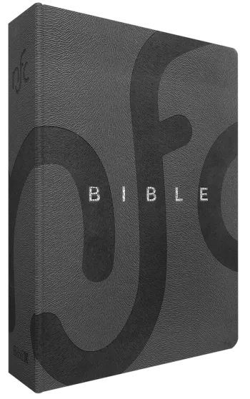 Bible, Nouvelle Français courant, luxe - couverture souple, simili cuir gris, tranche argent,...
