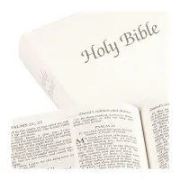 Anglais, Bible King James Version, KJV, rigide, blanche, tranche argent