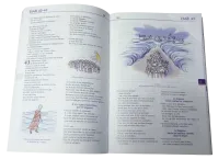 Bible Parole de Vie, illustrée - couverture souple, sans DC