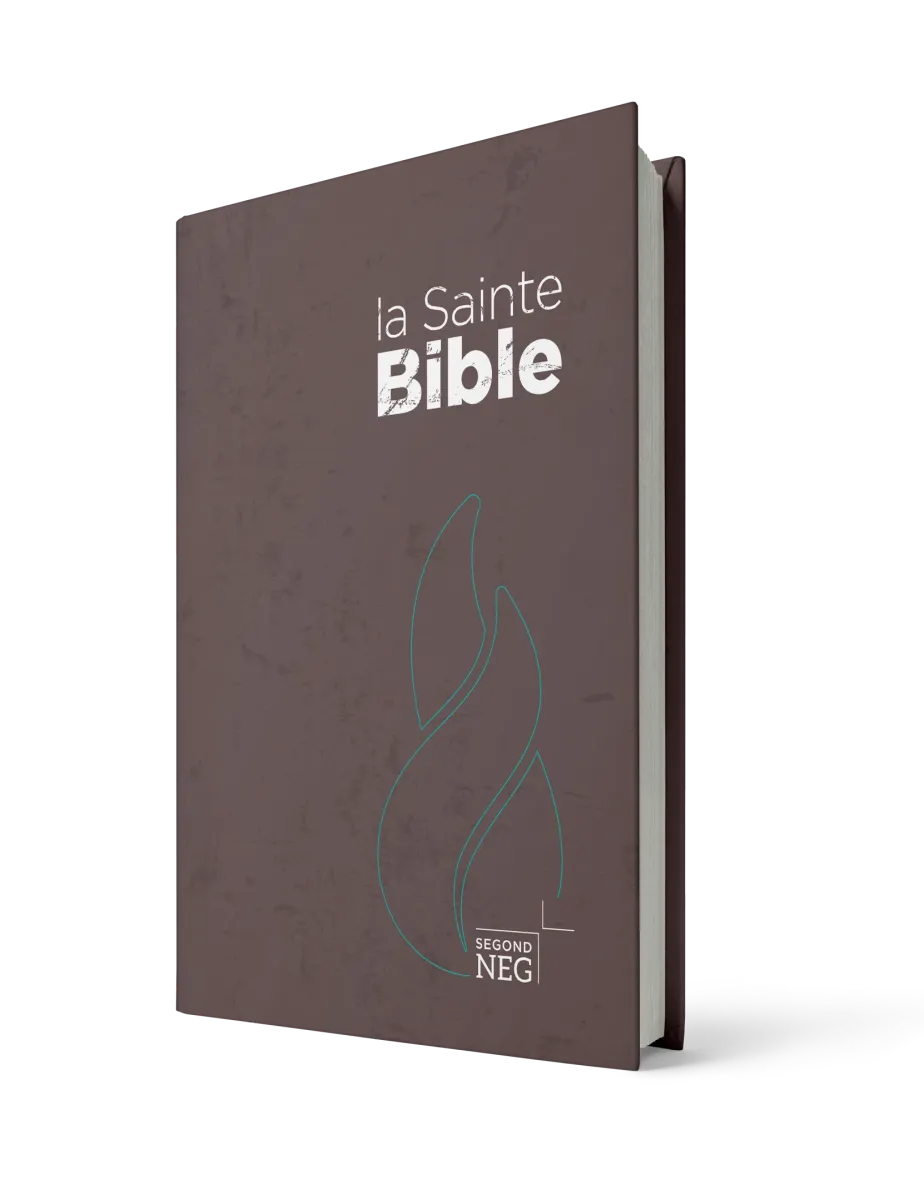 Bible Segond NEG, compacte - couverture rigide brune chocolat
