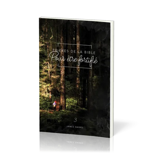 Prières de la Bible - volume 3 - Pour être fortifié