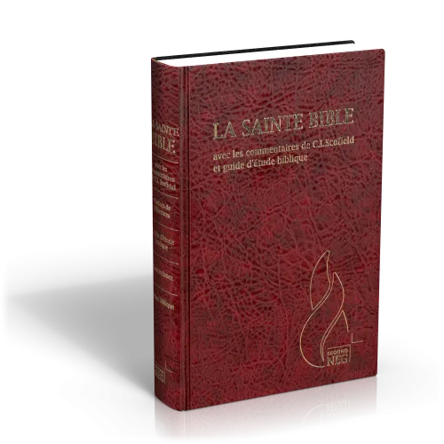 Bible d'étude Segond NEG Scofield, grenat - couverture rigide, skyvertex