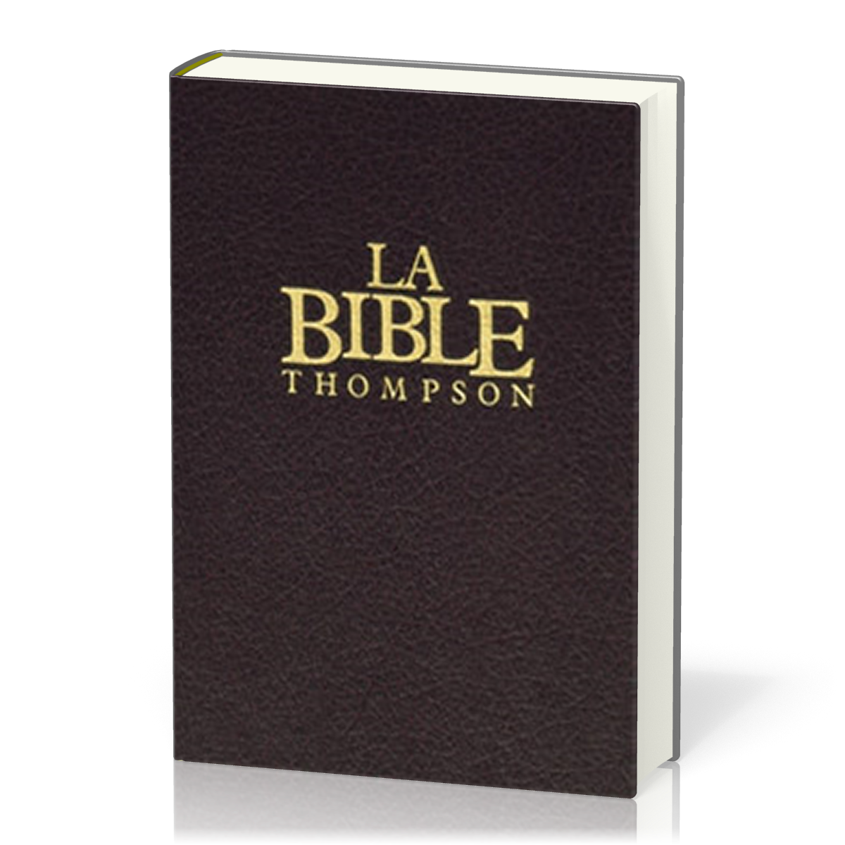 Bible Thompson Colombe, bordeaux - couverture rigide, avec onglets