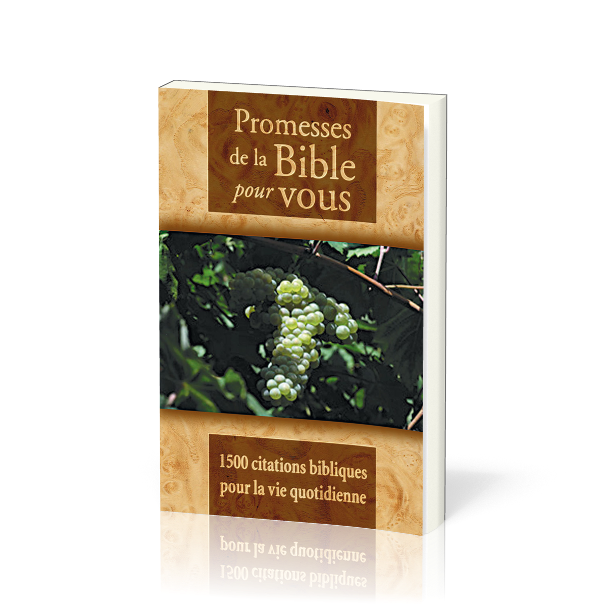 Promesses de la Bible pour vous - 1500 citations bibliques pour la vie quotidienne