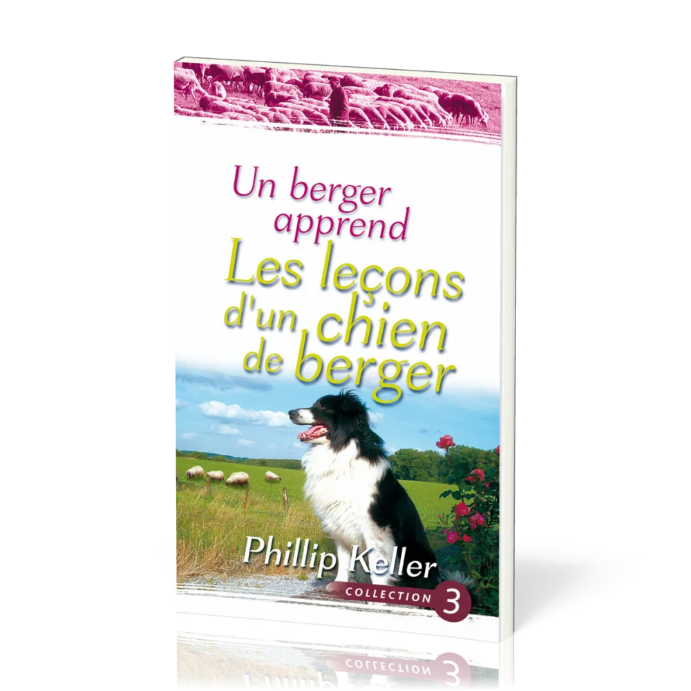 Un berger apprend - Les leçons d'un chien de berger